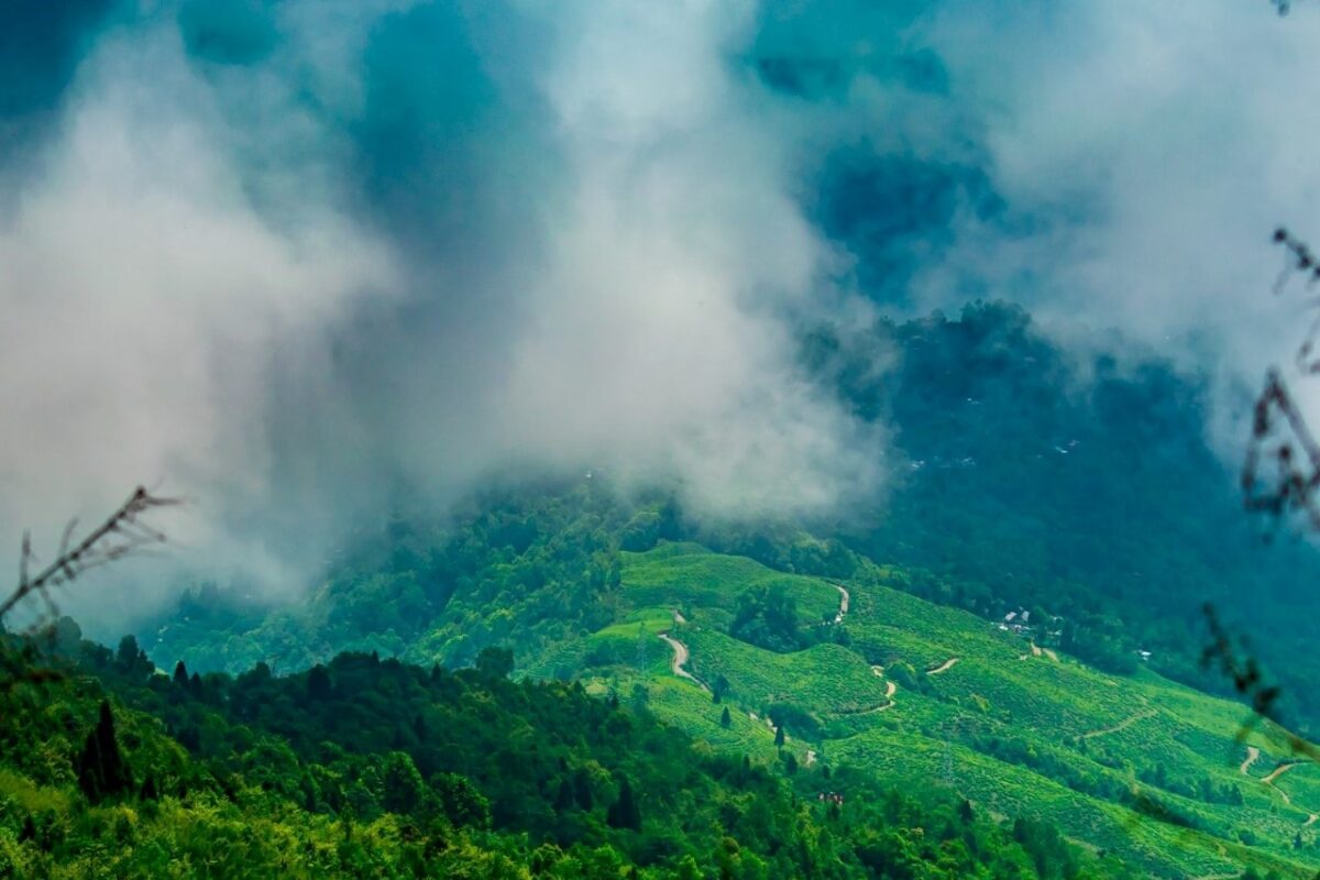 Kalimpong Packages
