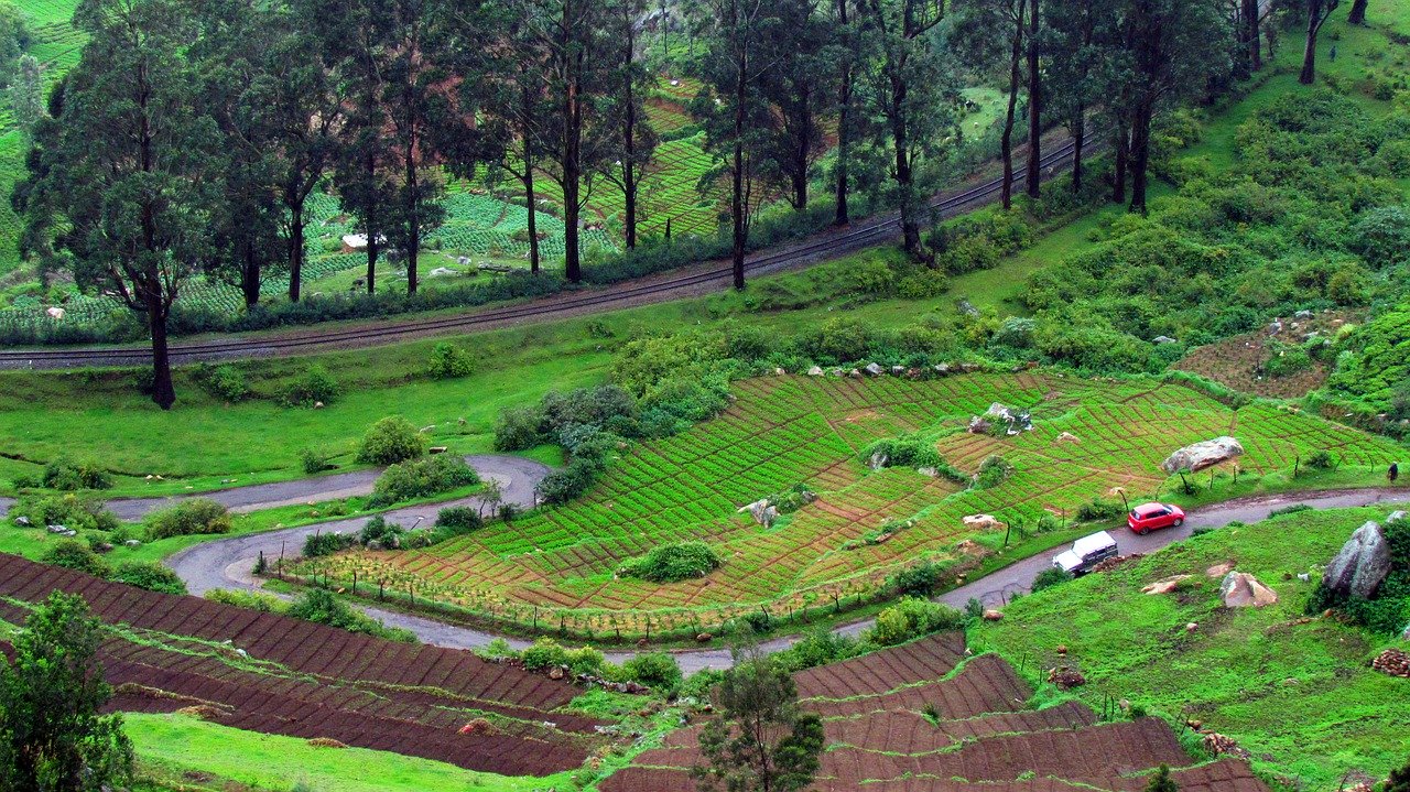 ooty coorg tour package